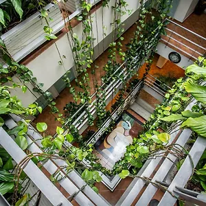 Picasso Hotel Bogotá