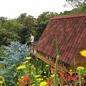 En Santa Elena En Medio Del Bosque Сasa de vacaciones